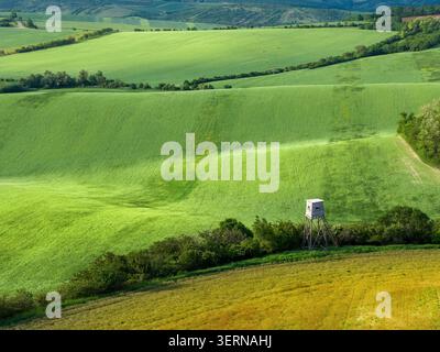 Aus der Vogelperspektive auf sanfte grüne Hügel in Mähren mit einem hölzernen Jagdturm Stockfoto