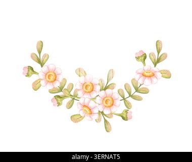Halbkranz aus rosa Gänseblümchen mit grünen Knospen und Blättern, Aquarell isoliert vom Hintergrund. Für Eckdekorationen, Hochzeitseinladungen, Frühlingskarten und Stockfoto