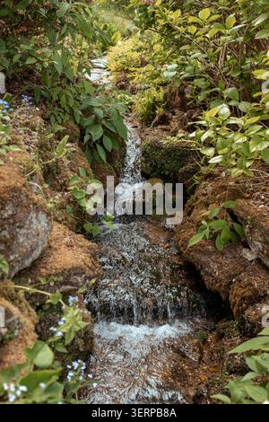 Ein ruhiger Gartenbach, der durch einen üppigen, friedlichen Wald fließt Stockfoto