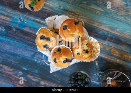 Anordnung von frisch gebackenen Heidelbeermuffins von oben auf einer strukturierten Holzoberfläche Stockfoto