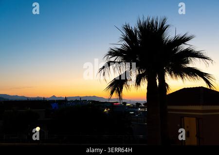 Eine wunderschöne Dämmerungsszene in einem tropischen Küstenresort mit der dunklen Silhouette einer Palme vor einem lebendigen Sonnenuntergangshimmel. Das goldene Orange h Stockfoto