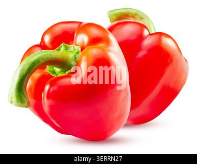 Gruppe von frischen, leuchtenden roten Paprika, die zusammen auf einer sauberen weißen Oberfläche angeordnet sind. Stockfoto