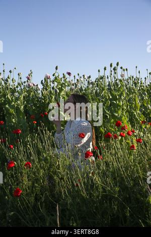 Junge Frau in weißem Kleid, die in einem blühenden roten Mohnblumen steht und den unbeschwerten Geist des Sommers und eine ruhige Verbindung mit der Natur annimmt Stockfoto