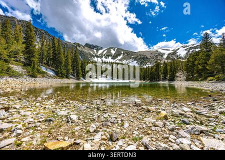 Ein kristallklarer Alplensee zeigt felsige Ufer mit schneebedecktem Wheeler Peak und Kiefernwald unter einem hellen, teilweise bewölkten Himmel. Stockfoto