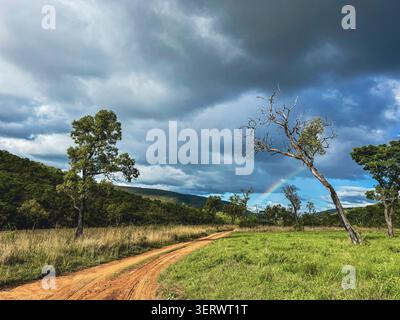 Blick auf eine rote Schotterstraße, die sich durch die Savanne schlängelt, mit einem Regenbogen, der unter dramatischen Sturmwolken im Kruger-Nationalpark Hoedspruit, Limpopo, erscheint. Stockfoto