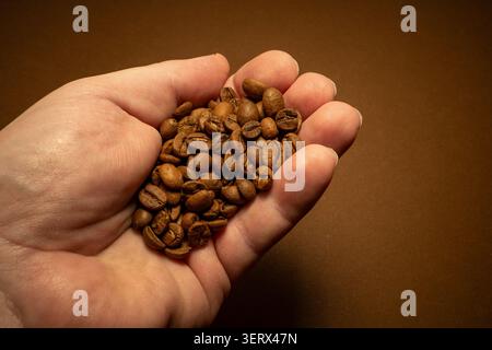 Eine Handvoll von gerösteten Kaffeebohnen. Stockfoto