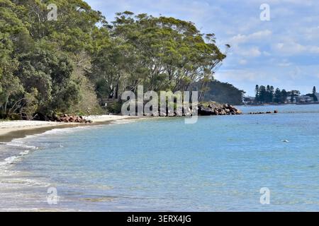 Eine ruhige Sandküste trifft auf klares blaues Wasser, umgeben von dichten grünen Bäumen und einem felsigen Abschnitt, der den Strand durchbricht. Stockfoto