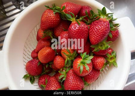 Frische Erdbeeren in einem Sieb Stockfoto