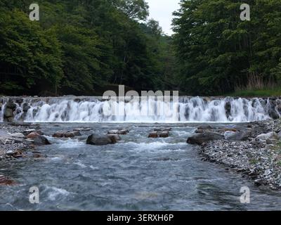 Rauschendes Wasser fließt über glatte Steine. Grüne Bäume umrahmen die natürliche Kaskade. Friedlicher Fluss erzeugt sanften weißen Schaum. Die leise Kraft der Natur bewegt sich Stockfoto