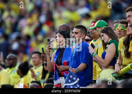 Philadelphia, USA. Juni 2026. Anhänger Brasiliens jubeln die Tribüne beim Spiel der Gruppe C der FIFA-Weltmeisterschaft 2026 zwischen Brasilien und Haiti am 19. Juni 2026 im Philadelphia Stadium in Philadelphia, Pennsylvania. Foto: Igor Kralj/PIXSELL Credit: Pixsell/Alamy Live News Stockfoto