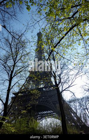 Eiffelturm durch Bäume Stockfoto