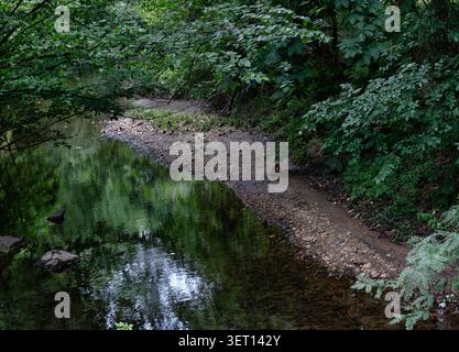 Ein kleiner Wasserfall in einem öffentlichen Park in Maryland Stockfoto