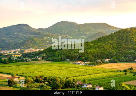 Luftaufnahme des landwirtschaftlichen Feldes im Tal der Colli Euganei Hügel in der Nähe des Dorfes Torreglia bei Sonnenuntergang Stockfoto