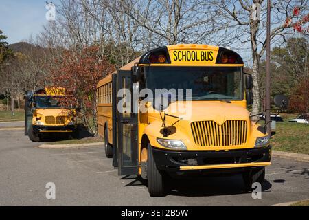 Zwei geparkte American Yellow School Busse auf dem Parkplatz Stockfoto