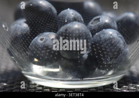 Heidelbeere in einer Glasschale auf schwarzem Hintergrund Stockfoto