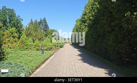 Ein gepflasterter Steinweg, gesäumt von gepflegten Hecken, führt durch einen landschaftlich gestalteten botanischen Garten. Stockfoto