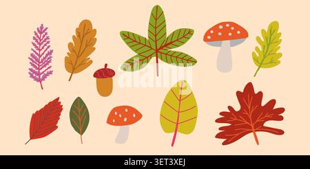 Herbstlaub-Clipart mit Herbstlaub, Eichenblätter, Kastanienblätter, Kiefernzweige, Eicheln, und Pilze im skandinavischen Stil auf weichem beigefarbenem Hintergrund, vielseitige Kollektion für saisonale Collagen, Scrapbooking, Planer, Poster, Branding, Verpackungen und kreative Herbstprojekte. Vektorabbildung Stock Vektor