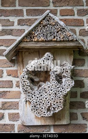 Insektenhotel an einer Backsteinmauer, Nordrhein-Westfalen, Deutschland Stockfoto