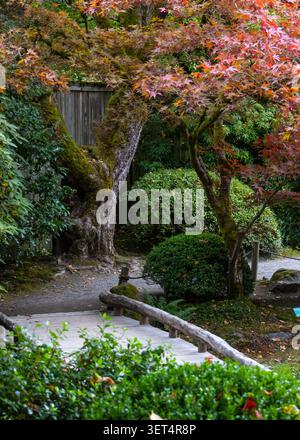 Ruhiger japanischer Garten mit einer kleinen Holzbrücke und lebhaftem Herbstlaub Stockfoto
