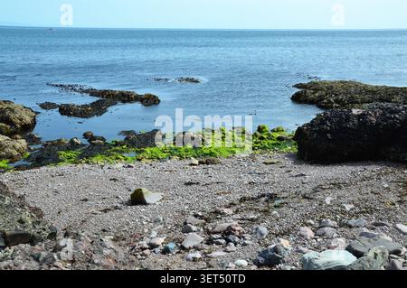 Hochwinkelblick auf einen Kieselstrand an der Küste, auf leuchtende grüne, moosbedeckte Felsen und ein ruhiges, blaues Meer unter klarem Himmel. Stockfoto