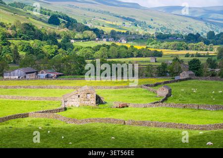 Gunnerside Bottoms Feldmuster und Scheunen im Sommer Stockfoto