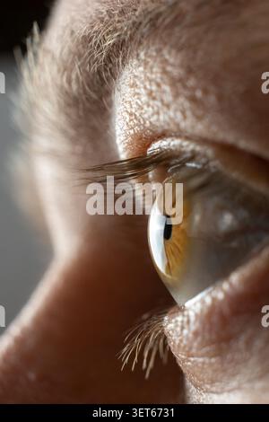 Nahaufnahme eines gesunden menschlichen Augenprofils Stockfoto
