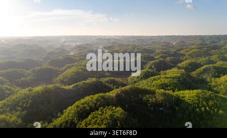 Blick aus der Vogelperspektive auf üppig grüne Hügel, bedeckt mit dichter tropischer Vegetation unter sanfter Morgensonne, Indonesien. Stockfoto