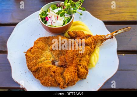 Polnische panierte Schweinekoteletts mit cremigem Kartoffelpüree und frischem Salat, serviert auf einem weißen Teller in Kadyny, Polen. Stockfoto