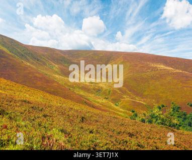 karpaten-Berglandschaft. Reisen Sie im Sommer in die ukraine. Farbenfrohe Hänge des Borzhava Berges im august. Wunderbares karpaten-Abenteuer Stockfoto