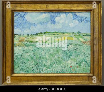 Landschaftsansicht einer Ebene in der Nähe von Auvers von Vincent van Gogh, gemalt 1890. Untergebracht in der Alten Pinakothek, München. Stockfoto