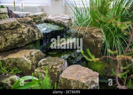 Kleiner dekorativer Wasserfall im Innenbereich, der über feuchte moosige Felsen stürzt und von grünen Pflanzen umgeben ist. Stockfoto