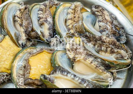 Frische Muscheln auf dem Fischmarkt in Busan, Südkorea. Erstklassige Meeresspezialitäten, die in der koreanischen Küche und asiatischen Meeresfrüchten weit verbreitet sind Stockfoto