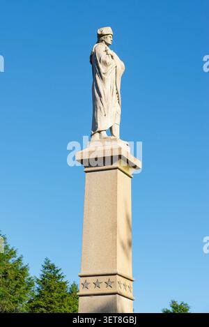 Washington Crossing, Pennsylvania – USA – 20. Juni 2026: Das Washington Crossing Monument, das vom Pennsylvania-Kapitel des Patr geschaffen wurde Stockfoto