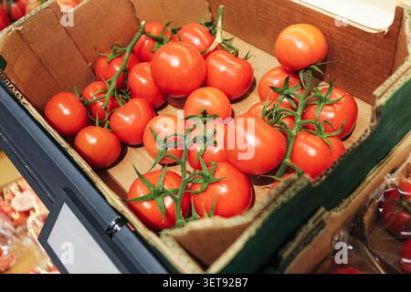 Frische Tomaten/Paradeiser auf Weinreben, die in einer Marktkiste ausgestellt werden. Lebensmitteleinkaufshintergrund, der gesunde Ernährung und lokale Landwirtschaft hervorhebt. Stockfoto