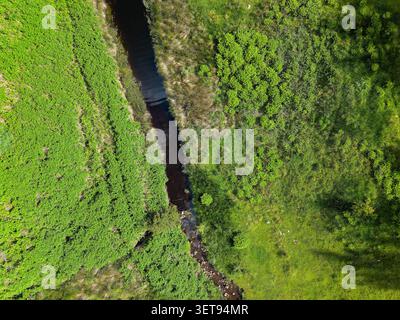 Drohnenaufnahme mit direktem Blick auf einen schmalen Bach, der durch die grüne Landschaft fließt Stockfoto