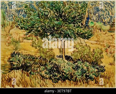 Bäume und Unterholz im Garten des Asylums (1889) von Vincent van Gogh Stockfoto