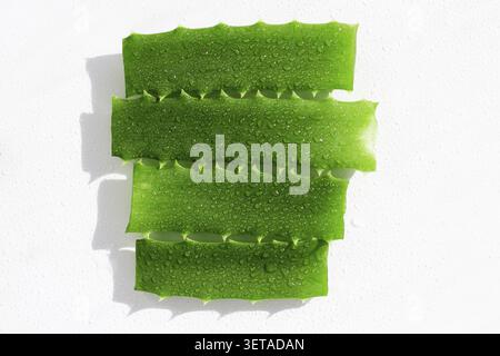 Ganzes und in Scheiben geschnittenes Aloe Vera-Blatt auf weißem Hintergrund mit Wassertropfen. Konzept für Naturkosmetik und pflanzlichen Nutzen. Spa-Zutaten mit Aloe Stockfoto