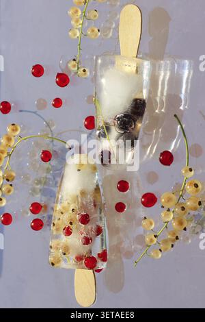 Johannisbeeren in Eis, gefroren in Form von Eis auf einem Stock. Erfrischendes Sommeressen, sonnige Atmosphäre Stockfoto