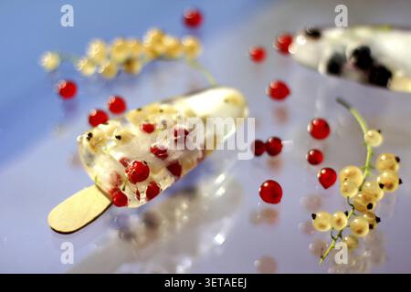 Johannisbeeren in Eis, gefroren in Form von Eis auf einem Stock. Erfrischendes Sommeressen, sonnige Atmosphäre Stockfoto