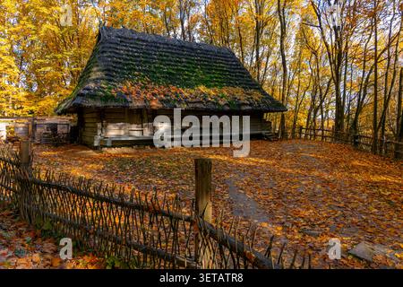 Eine alte Blockhütte mit einem moosigen Strohdach steht auf einer mit gefallenen Blättern bedeckten Rodung, umgeben von goldenen Herbstbäumen Stockfoto