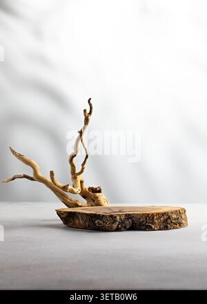 Minimalistische Treibholz-Skulptur auf Steinoberfläche mit weichem Farbverlauf Hintergrund Stockfoto