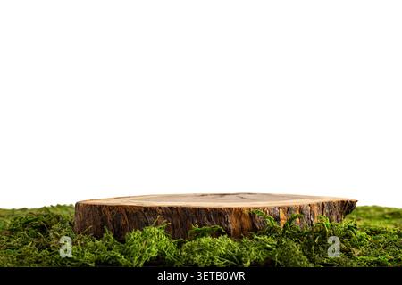 Holzbaumstumpf auf grünem Moos vor weißem Hintergrund Stockfoto