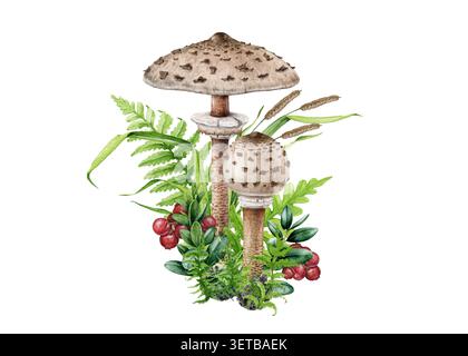 Wasserfarben-Sonnenschirmpilze mit Waldpflanzen und roten Beeren isoliert auf weißem Hintergrund. Handgemalte Waldillustration für Naturführer Stockfoto