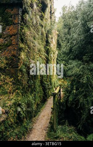 Schmaler Waldweg neben moosbewachsener historischer Steinmauer Stockfoto