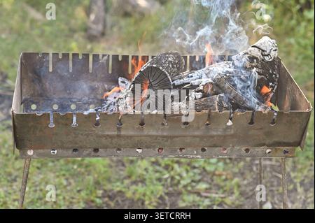 Brennendes Brennholz mit Rauch im Metallgrill im Freien während des Picknicks im Sommer. Brennholz leuchtet mit orangen Flammen im Kohlebrenner. Heißes Brennholz vorbereiten Stockfoto