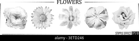 Botanisches Set mit Retro-Fotokopiereffekt, gestippte Blüten mit Körnung, Halbton-Grunge-Textur. Lychnis coronaria, Gaillardia, Kosmos, Rose. Y2K schwarz vint Stock Vektor