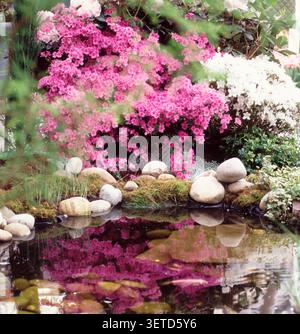 KEUKENHOF GARDENS, LISSE, NIEDERLANDE, AR 406EURO 165 Stockfoto