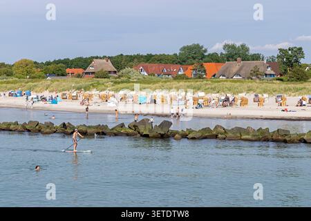Strand, Leute, Häuser, Felsen, Leistengegend, Baden, Stand-up-Paddle-Boarding, Wustrow, Fischland, Mecklenburg-Vorpommern, Deutschland Stockfoto