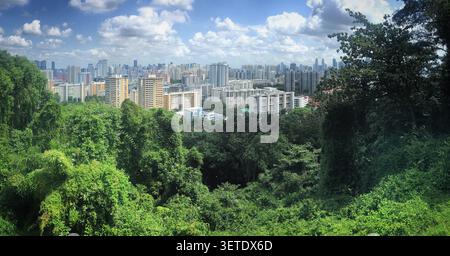 Dicht grüner Wald im Vordergrund mit Singapurs Skyline im Hintergrund. Das lebhafte Laub steht im Kontrast zur urbanen Landschaft des hohen B Stockfoto