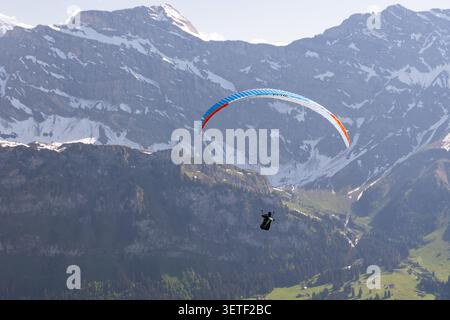 Paragleiter in den Schweizer Alpen nahe Engelberg, Schweiz Stockfoto
